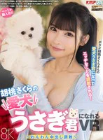 【VR】胡桃さくらの愛犬うさぎ君になれるVR ～わんわん中出し調教～ のパッケージ写真